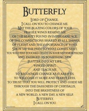 Butterfly Poster