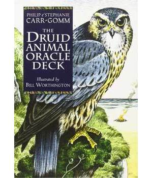 Druid Animal oracle deck by Carr-Gomm & Carr-Gomm