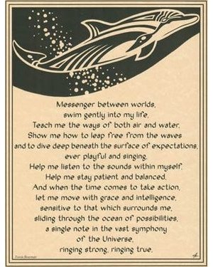 Dolphin Poster Dolphin Poster