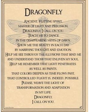 Dragonfly Poster