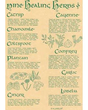 9 Herbs Poster