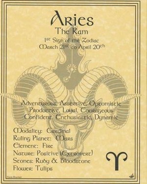 Aries Poster Aries Poster