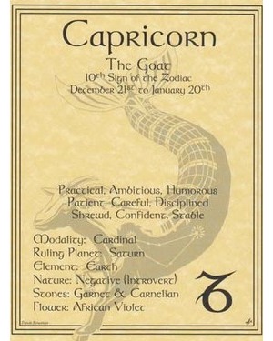 Capricorn Poster Capricorn Poster