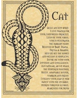 Cat Prayer Poster