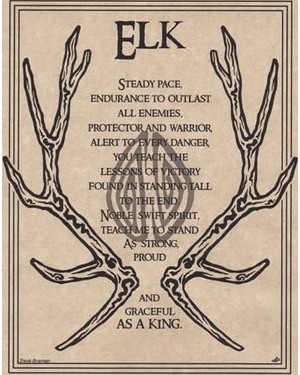 Elk Prayer Poster