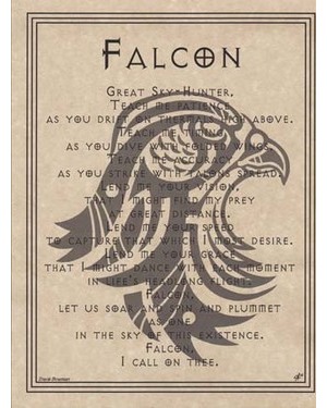 Falcon Prayer Poster Falcon Prayer Poster