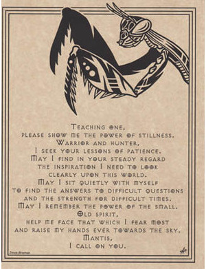 Mantis Prayer Poster Mantis Prayer Poster