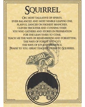 Squirrel Prayer Poster