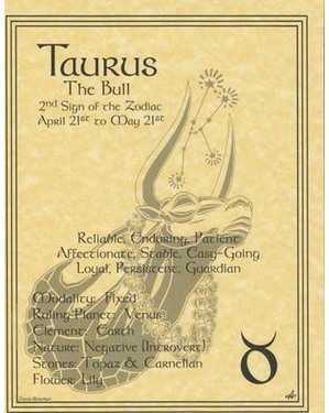 Taurus Poster Taurus Poster