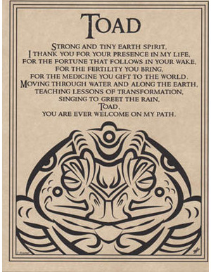 Toad Blessing Poster