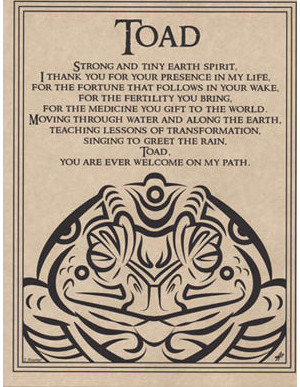Toad Blessing Poster Toad Blessing Poster