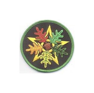 Oak Leaf Pentagram Iron-On Patch 3"