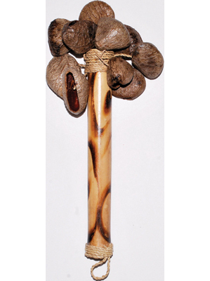 Bamboo shaker