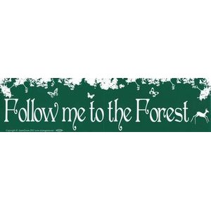 Follow Me To The Forest Follow Me To The Forest