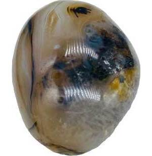 Agate, Dendritic palm stone Agate, Dendritic palm stone