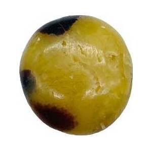 Jasper,Septarian palm stone