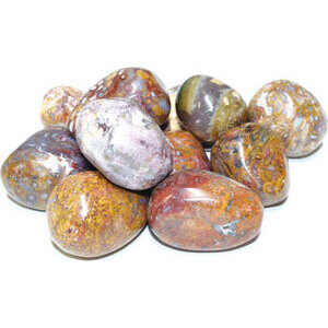 1 lb Moss Agate w/ Petrified Wood tumbled 1 lb Moss Agate w/ Petrified Wood tumbled