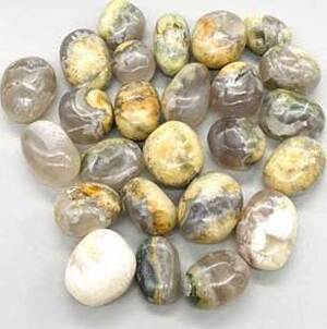 1 lb Opalized Petrified Wood tumbled stones