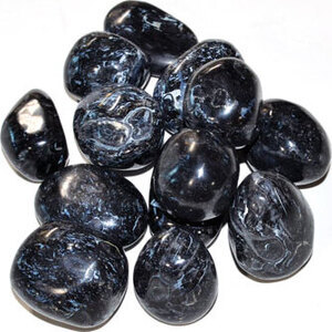 1 lb Fossil Stone, Black tumbled 1 lb Fossil Stone, Black tumbled