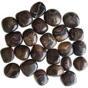 1 lb Stromatolite (onyx Brown) Tumbled Stones 1 lb Stromatolite (onyx Brown) Tumbled Stones