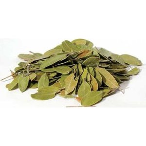 Bearberry (Uva-Ursi) 1oz