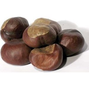 1 Lb Buckeyes Whole