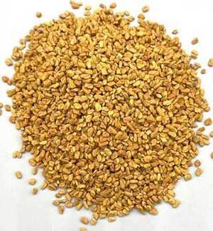 Fenugreek Seed whole 2oz Fenugreek Seed whole 2oz