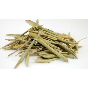 Olive Leaf whole 1oz Olea europaea