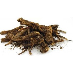 Osha Root Wh 1oz