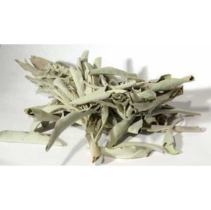 1 Lb White Sage