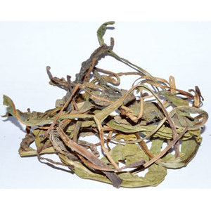 Deer's Tongue Herb 2oz