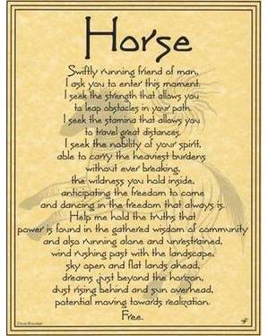 Horse Poster Horse Poster