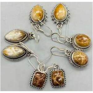 Fossil coral various earrings Fossil coral various earrings