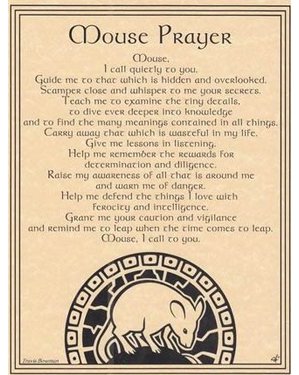Mouse Prayer Poster Mouse Prayer Poster