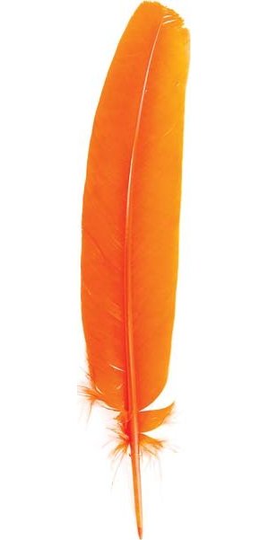 Orange Feather Orange Feather