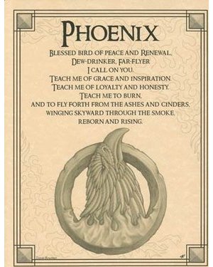 Phoenix Poster Phoenix Poster