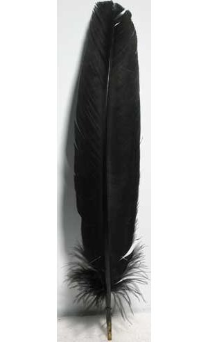 (set of 10) Black feather 12"