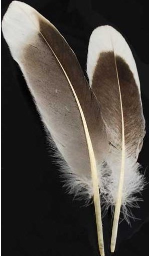Natural Gray Goose Feather