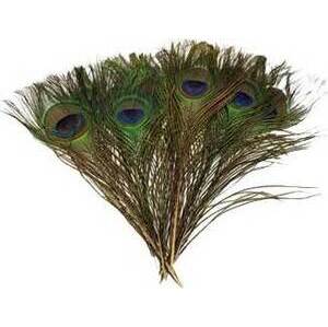 (set of 100) Peacock feather