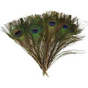 (set of 100) Peacock feather (set of 100) Peacock feather