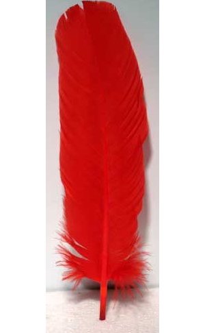 (set of 10) Red feather 12"