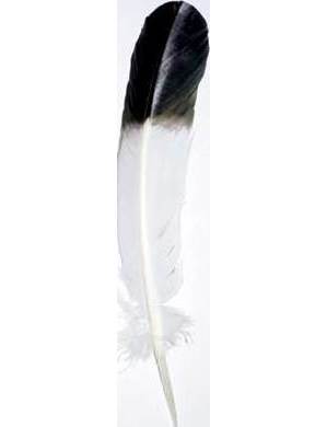 10 Smudging "Eagle" Feathers 10 Smudging "Eagle" Feathers