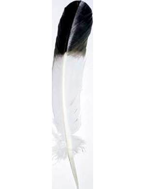 Black Feather for Smudging