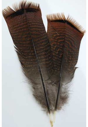 Bronze Pre-Tail Turkey Feather