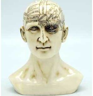 6" Phrenology Head