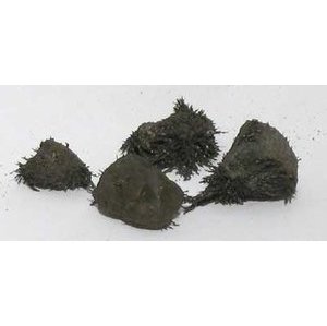 1lb Natural Lodestones