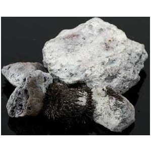1ln White Lodestones 1ln White Lodestones