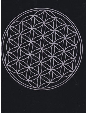 Circle in Circle Map Circle in Circle Map