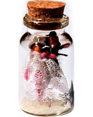 Wedding Binding Dolls spellbottle Wedding Binding Dolls spellbottle